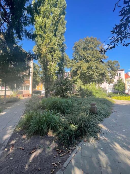 Cozy, Bright, Comfy Studio Next To The Old Town. Apartment Warsaw Ngoại thất bức ảnh